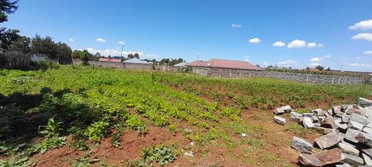 1/4 ACRE PLOT SALE IN MARURA WEIGHBRIDGE, ELDORET image 4