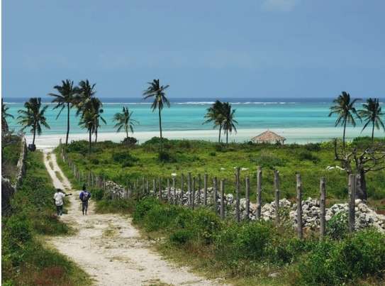 1/4 acres beach plots for sale  - Malindi image 3