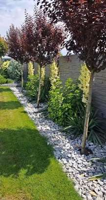 Landscaping services image 2