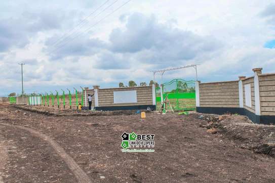 Ruiru Kamakis  - Mwalimu Farm image 1