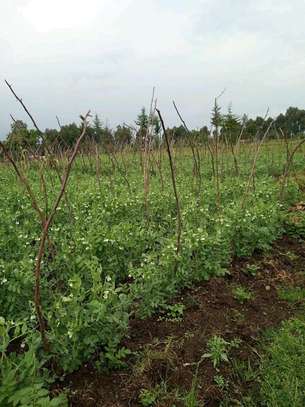 PLOT FOR SALE IN RUMURUTI image 1