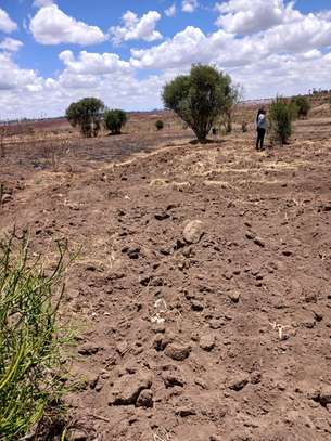 ALPHA NEW HERI KABATI 1/8 ACRE PLOTS image 1