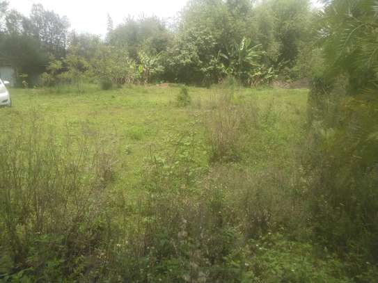 Stunning Quarter Acre Plots in Ngong image 5