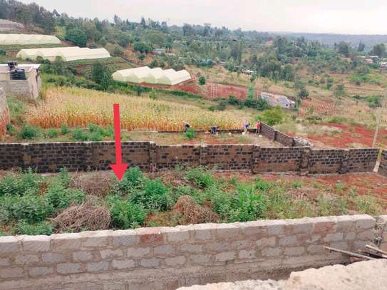 40*90ft plots for sale at Kenol along Kagia road image 5