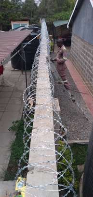 730mm 450mm Barbed wire & Razor wire supply  in Kenya image 4