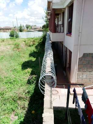 730mm Double Galvanized Razor Wire Supplier in Kenya image 4