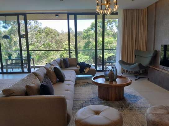 4 Bed Apartment with En Suite in Spring Valley image 11