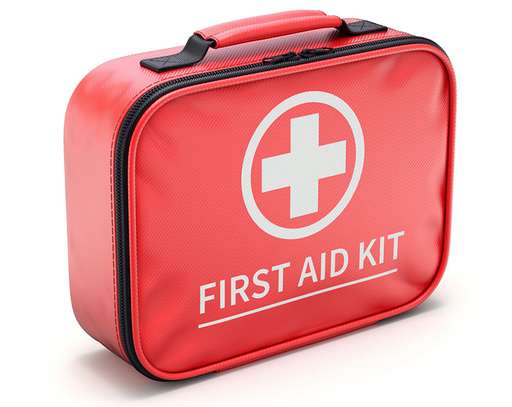 Vehicle First Aid Kit Canvas or Plastic image 1