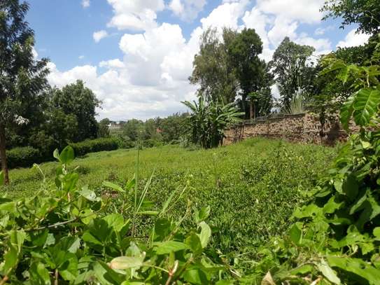0.5 ac Residential Land in Thome image 8