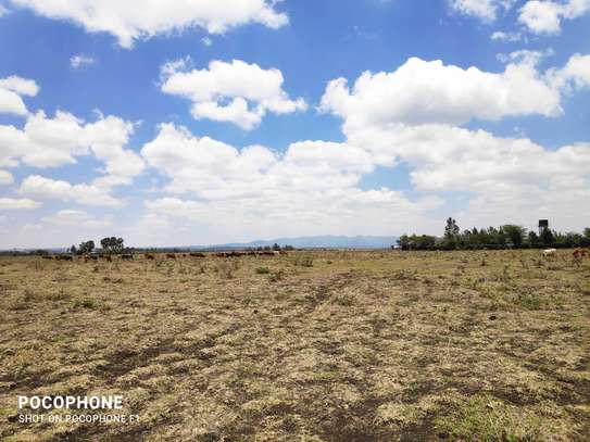 3 Prime Acres in Masaai Lodge Rongai Is Available For Sale image 2