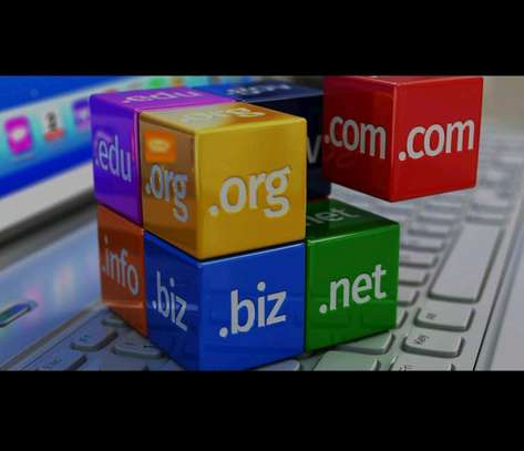 Web Hosting and Domain Registration image 2