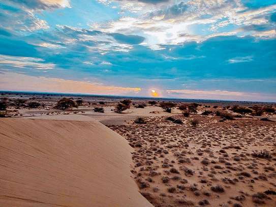 Chalbi Desert Adventure image 8