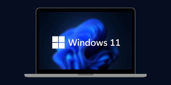 Windows 11 Pro Activated + Installation image 1