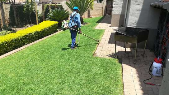 Expert Landscaping & Gardening Services in Nairobi image 1