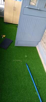 New Grass CarpetS image 3