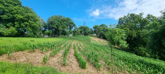 2.5 ac Land at Mtwapa Creekside image 10