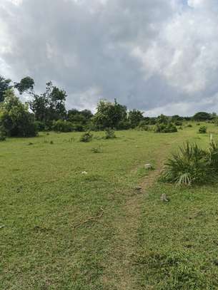 0.05 ac Residential Land at Utange image 9