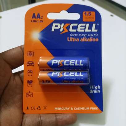 AA Pk Cell Batteries image 1