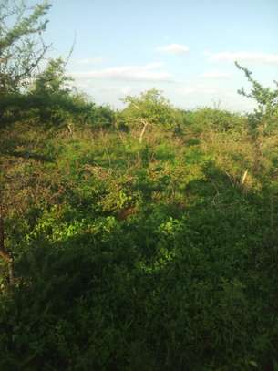 50 Acres Is Available For Sale in Mutha Kitui County image 3