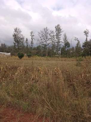 ½ acre at Kenol town for sale image 8