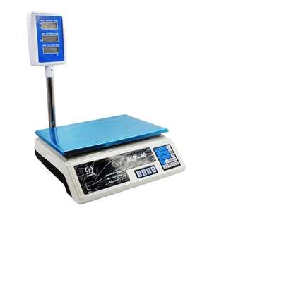 ACS 30kg Electronic Price Computing Digital Weighing Scale with 1g Precision and Counting Feature image 1