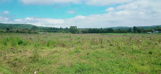 Prime land for sale in Kikuyu Nachu image 5