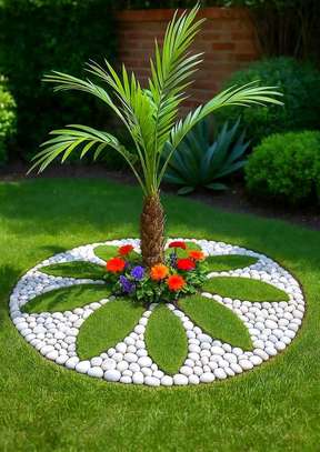 Landscaping service image 2