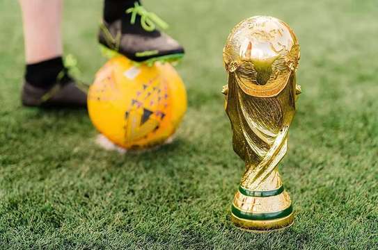 Football World Cup Trophy Replica image 11