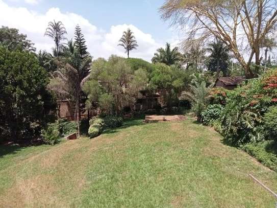 7 Bed Villa with Garden at Hillcrest View image 10