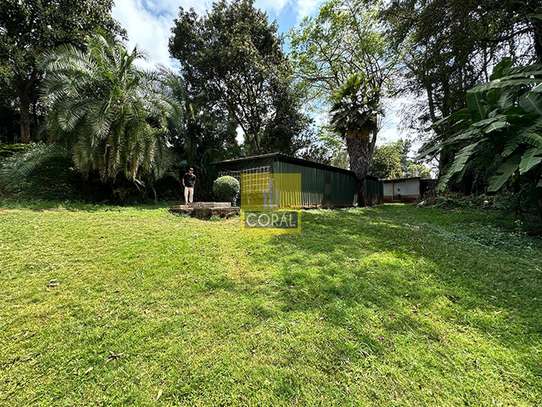 Commercial Property in Lavington image 3