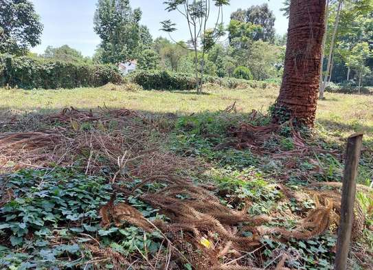 0.5 ac residential land for sale in Runda image 1