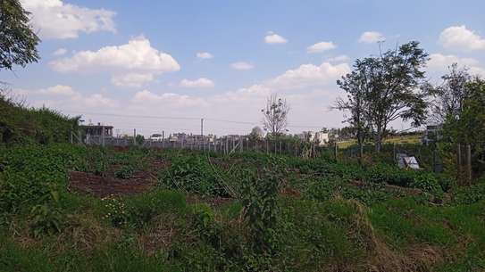 Prime 50x100 plots for sale in Ruiru- Tatu area. image 2