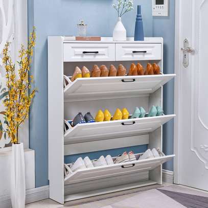 Modern Shoe Storage Cabinet image 5
