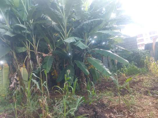 50by100 plot for sale in ruaka image 6