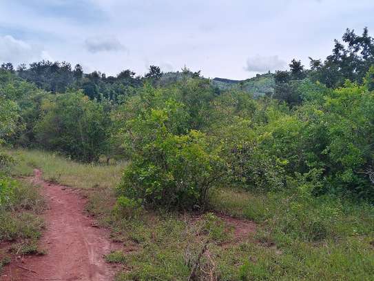 Prime Fertile Land in Ithanga, Murang'a, Near Kakuzi image 5