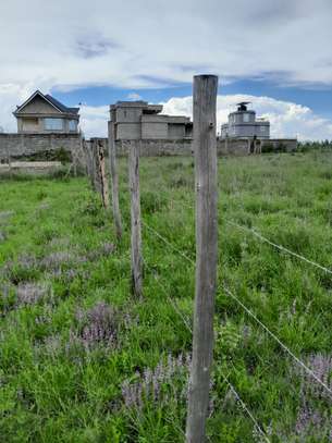 Special offer plot for sale image 3