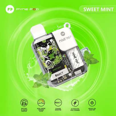 Pyne Pod 8500 Puffs Rechargeable Vape (Sweet Mint) image 1