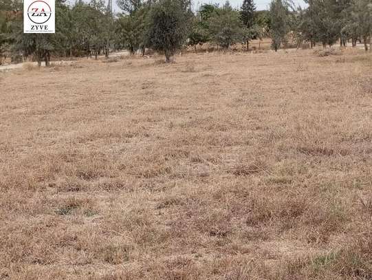 0.125 ac Land at Acacia Crest Estate image 2