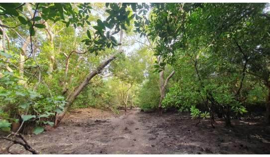 Residential Land in Diani image 11