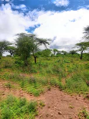 40 Acres Agricultural Land Is For Sale In Masinga Kithyoko image 4
