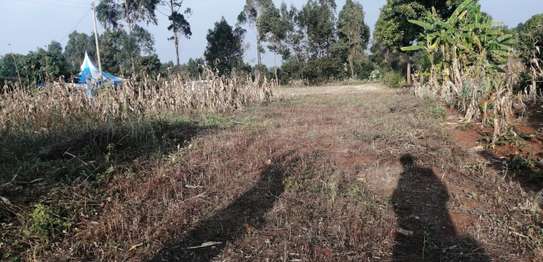 0.05 ha Land at Ondiri/Mugumoini image 4