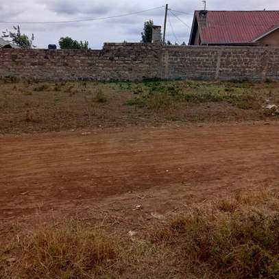40X80ft PLOTS FOR SALE AT KABATI GIKONO image 8
