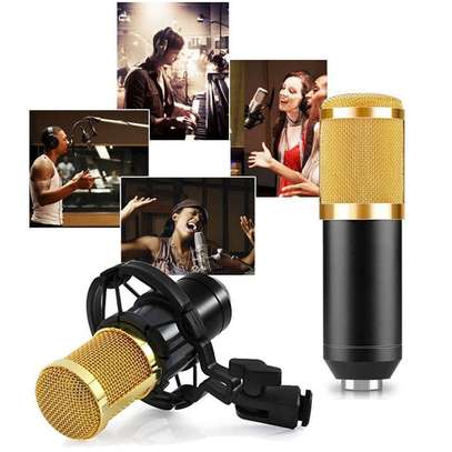 Professional Condenser Microphone.Full Set image 3