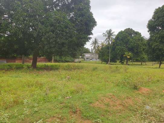 1/8 Acre Plot for Sale, Mtomondoni Mtwapa image 4