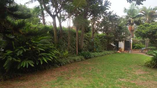 4 Bed House with Staff Quarters in Gigiri image 14