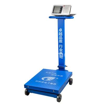 600kg weigh scale price platform weighing scales with fordable structure image 1