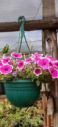 Faith's-Line Landscapers image 1