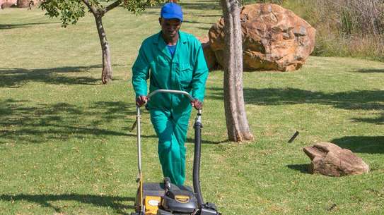 Best Gardening Service Company In Kenya | Qualified Gardeners| Garden Maintenance| Get A Free Quote. image 1