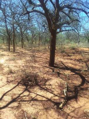 70 acres along Makindu-Wote Rd Makueni County image 5