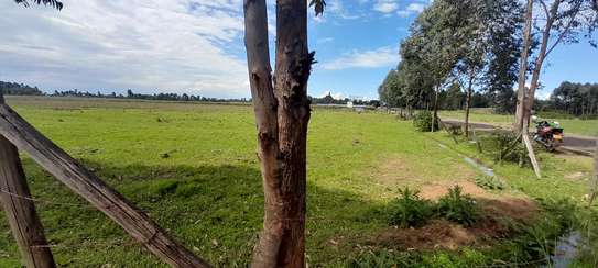 1/8 ACRE TOUCHING TARMAC IN KIMUMU RADA ,ELDORET image 6